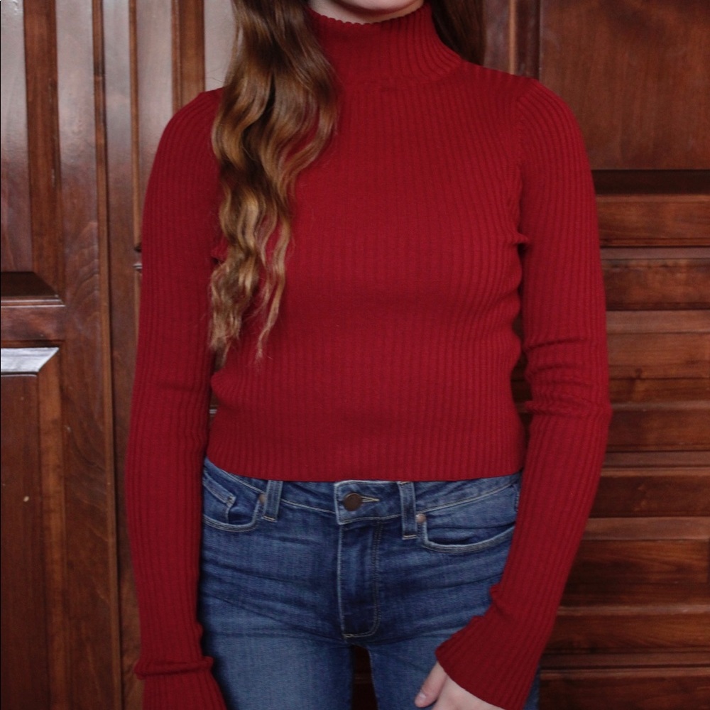 NWT XS Seek The Label Ribbed Burgundy Turtleneck